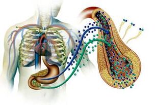 Pancreatic damage in diabetes mellitus