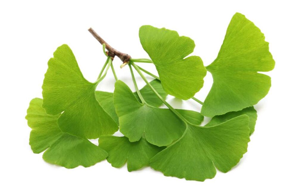 ginkgo biloba capsules Glucoren